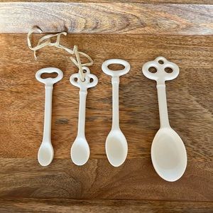 Anthropologie Decorative Skeleton Key Measuring Spoons